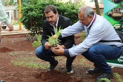Arrancan las tareas para salvar el arroyo Hu’i Rupa de Hernandarias