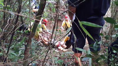 Investigan brutal caso de feminicidio en La Paloma