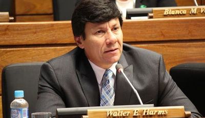 Piden interpelación de presidente de ANDE y ESSAP