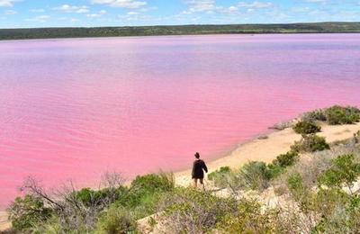 ¿Por qué este lago en Australia se vuelve rosa cada verano?