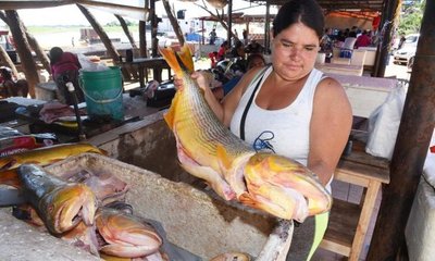 El “agosto” de los pescadores se fue este año directo al tacho