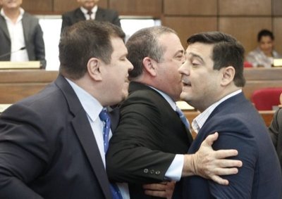 Otra más del Senado: Salyn Buzarquis y Dionisio Amarilla casi a los golpes