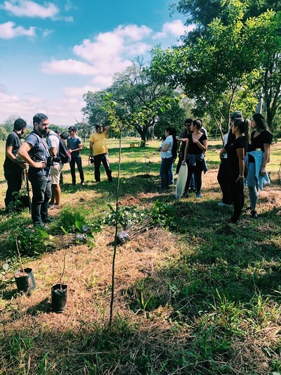El lapacho socio de un club reforestará el equivalente a 11 canchas de fútbol