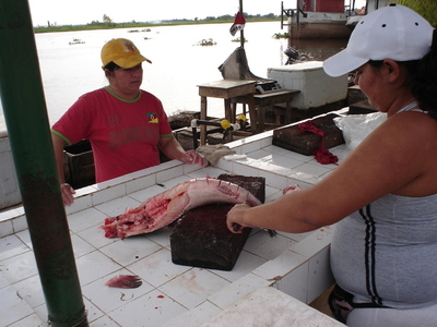 Buen movimiento de venta de pescado en Semana Santa, según comerciantes