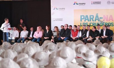 Millonaria inversión para hacer frente a un mosquito