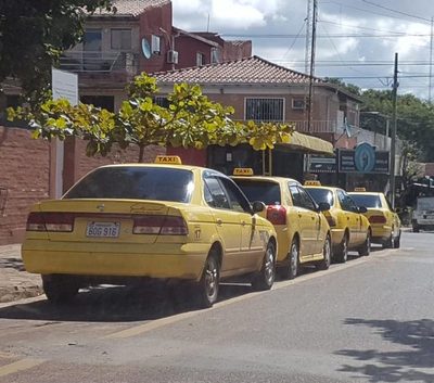 Taxistas plotearán techo de sus vehículos con los colores del Rayadito