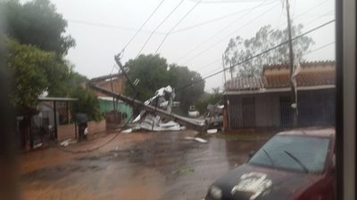 Tormenta dejó más de 50 árboles caídos en San Lorenzo