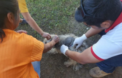 Brindan recomendaciones a dueños de mascotas en circunstancias de inundación
