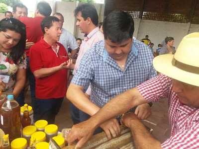 Unos 7.078 niños recibirán en su dieta diaria la miel de abeja