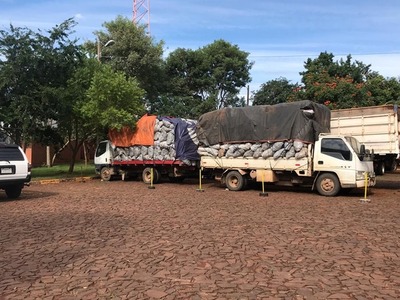 Imputan a un hombre que transportaba carbón vegetal sin documentos respaldatorios