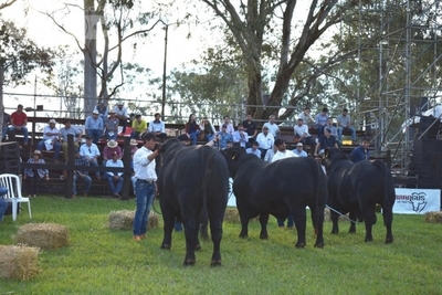 Expo Misiones se va posicionando