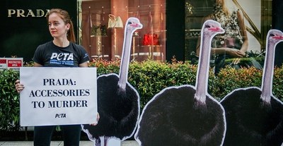 Prada anuncia que renunciará a pieles