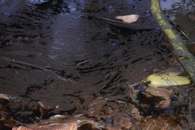 Itauguá: combustible derramado llegó al arroyo de Aveiro