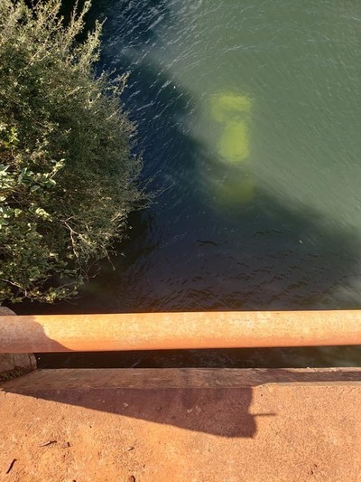 Rescatan a uno de los ocupantes de vehículo que cayó al río Yguazú