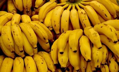 Por Ley incluirán banana en la alimentación escolar