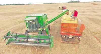 Disrupción externa e incertidumbre en la matriz productiva paraguaya