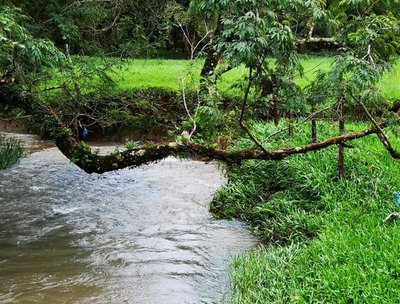 Coordinan acciones para la protección de principales arroyos de Encarnación