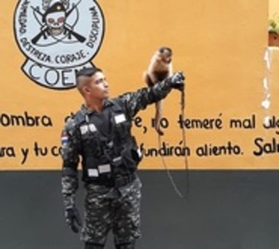 Grupo Lince tiene una nueva mascota