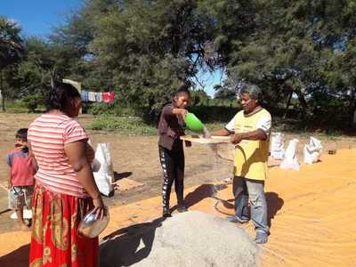 Productores indígenas obtienen excelentes resultados en el Chaco