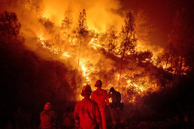 Intentó eliminar un nido de avispas y provocó un enorme incendio forestal