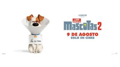Esta semana se estrena La Vida Secreta de tus Mascotas 2