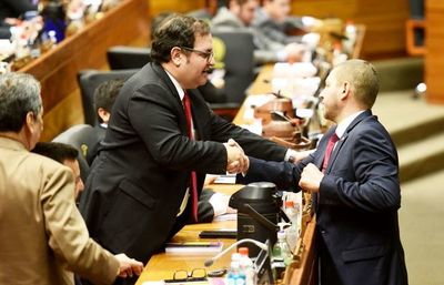 Alliana también promete “echar a los planilleros”