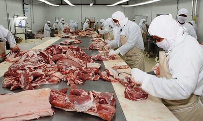 Sector ganadero e industria cárnica del Paraguay, entre los intereses de Uruguay