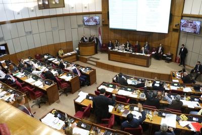 Senado aprueba creación de Bicameral para investigar probable sobrefacturación en IPS