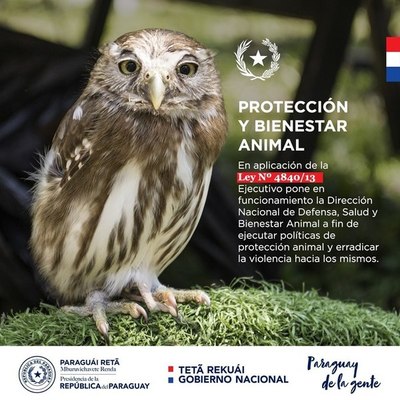 Ejecutivo crea Dirección Nacional de Defensa, Salud y Bienestar Animal