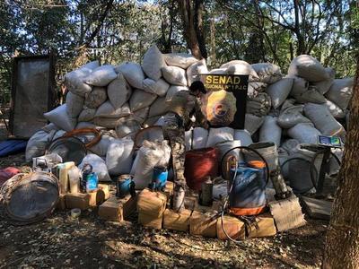SENAD desmantela campamentos en Capitán Bado y destruye unas doce toneladas de marihuana