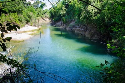 Concepción: Cementera podría afectar a 1.600 hectáreas de reserva ambiental