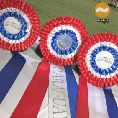Arranca el concurso de salto internacional de Caballos Compartidos
