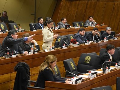 Diputados se aferran al autoblindaje y rechazan el veto de Mario Abdo