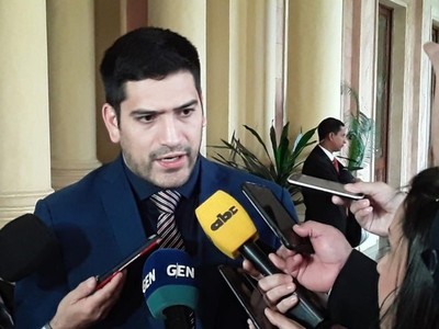 'Alliana nunca actuó como presidente del Partido Colorado, siempre actuó como el títere de su amo'