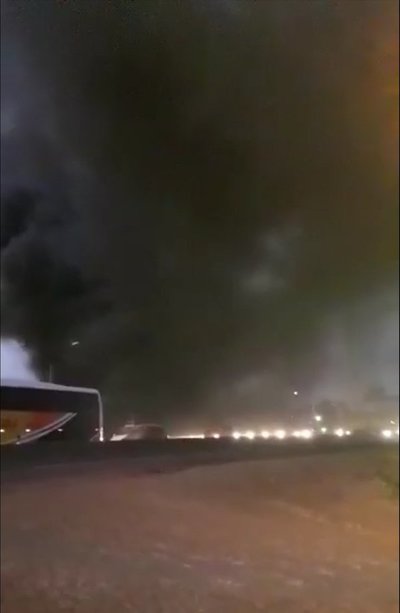 Filman criminal daño al medioambiente
