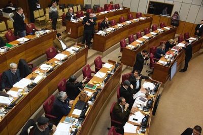 Sesión extra en Senado por cuestionado acuerdo energético con Brasil