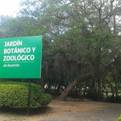 Conflicto entre funcionarios del Zoológico de Asunción y directora provoca que hasta hablen de "quemar el Botánico"