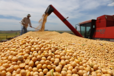 Gobierno trabaja en producción sustentable de soja