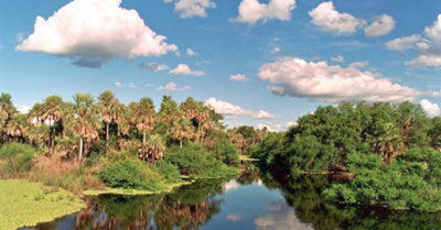 Buscan patrimonio de la humanidad para pantanal