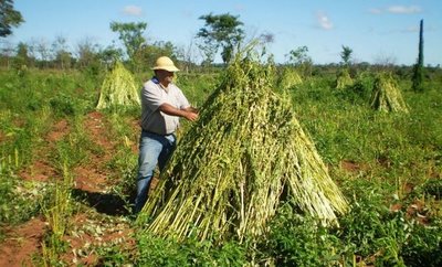 CAH aumenta recuperaciones de créditos en más del ocho por ciento