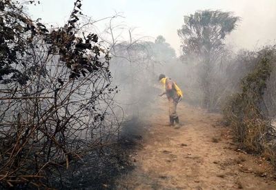 Incendio forestal en reserva del Chaco se encuentra controlado, según la SEN