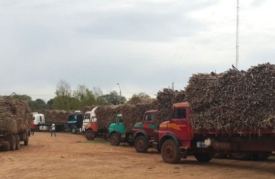 Sindicato exige que se esclarezca rumores del quiebre de Azucarera Guarambaré