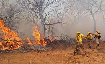 Varios incendios forestales devoran medio millón de hectáreas en Bolivia