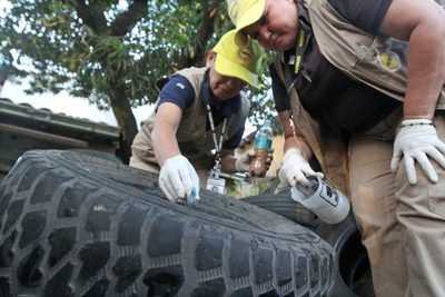 Salud Pública insiste en eliminar los criaderos del aedes aegypti