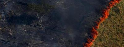 Bolsonaro sugirió que las ONG están detrás de los incendios en el Amazonas