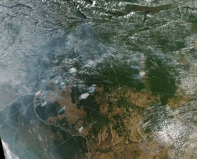 Presentan al Congreso brasileño un millón de firmas en favor de la Amazonía