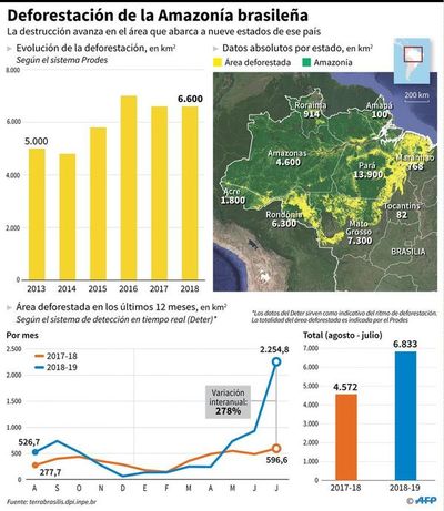 Cinco cosas a saber sobre la Amazonia