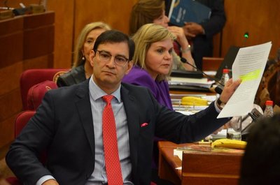 Intención de sacar del Senado a Friedmann, se acentúa con posición de Alliana