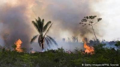 Incendios en el Amazonas: Irlanda amenaza al acuerdo UE-Mercosur y Merkel pide llevar el tema al G-7
