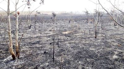 Tras una semana de incendios, planean gran operativo para el Chaco